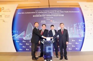 深化中新知識產權交流,加快推進合作項目落地